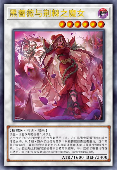 黑蔷薇与荆棘之魔女