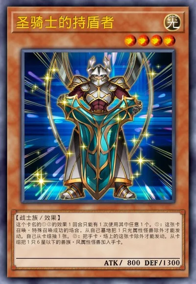 圣骑士的持盾者