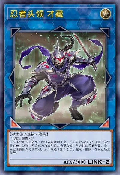 忍者头领 才藏