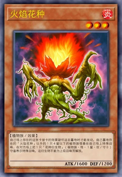 火焰花种