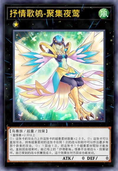 抒情歌鸲-聚集夜莺