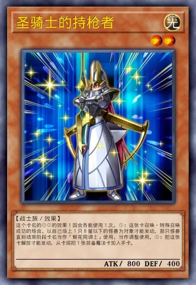 圣骑士的持枪者
