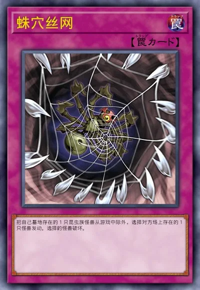 蛛穴丝网