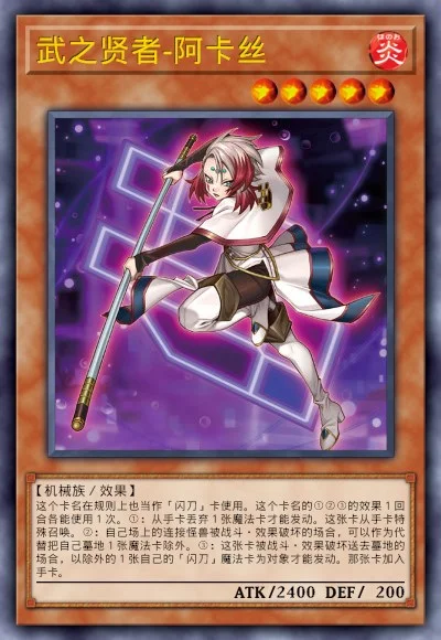 武之贤者-阿卡丝